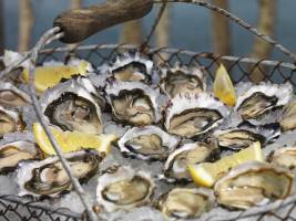 Frank BRUNET D'AUBIAC - FBAP SARL