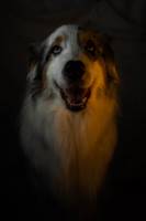 Emma GAUBEN-FORGEAUD - FORGEAUD PHOTO